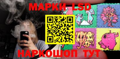 стаф Берёзовский