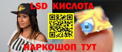стаф Берёзовский
