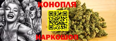 apvp Беслан