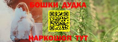 apvp Бийск