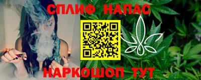 apvp Бийск