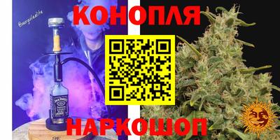 apvp Бийск