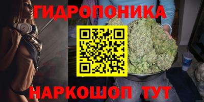 apvp Бийск