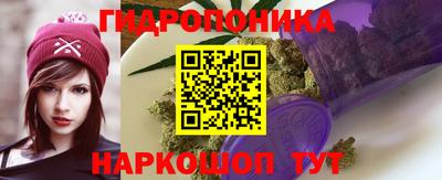 apvp Беслан